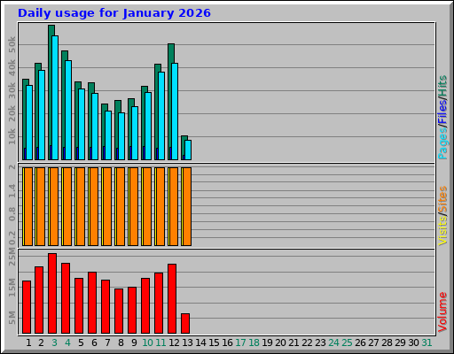 Daily usage for January 2026